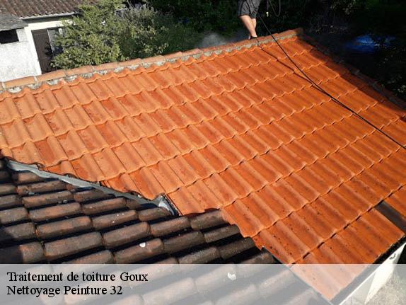 Traitement de toiture  goux-32400 Nettoyage Peinture 32