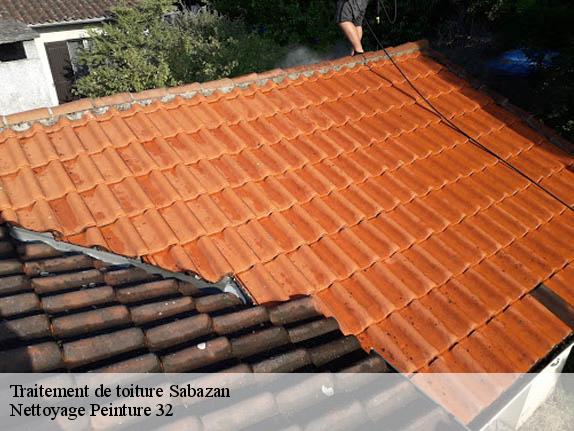 Traitement de toiture  sabazan-32290 Nettoyage Peinture 32