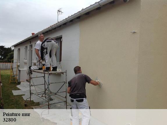 Peinture mur  32800