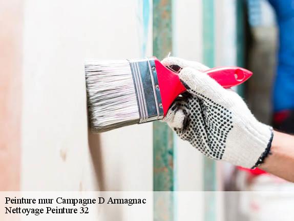 Peinture mur  campagne-d-armagnac-32800 Nettoyage Peinture 32