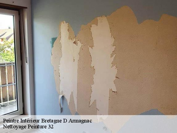 Peintre Intérieur  32800